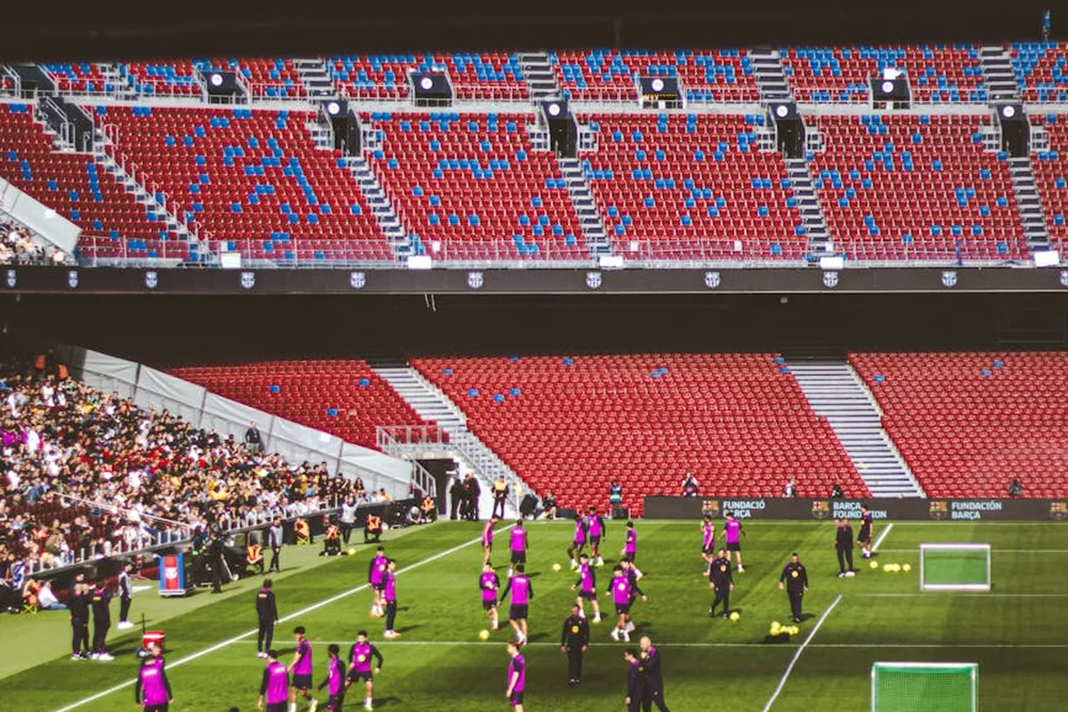 Article Per Ulteriori Informazioni Non Esiti A Contattarmi