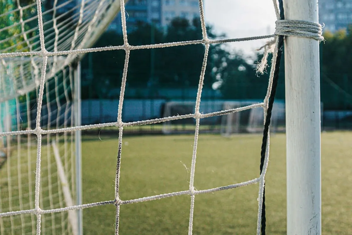 Defensive Organisation Championship Success