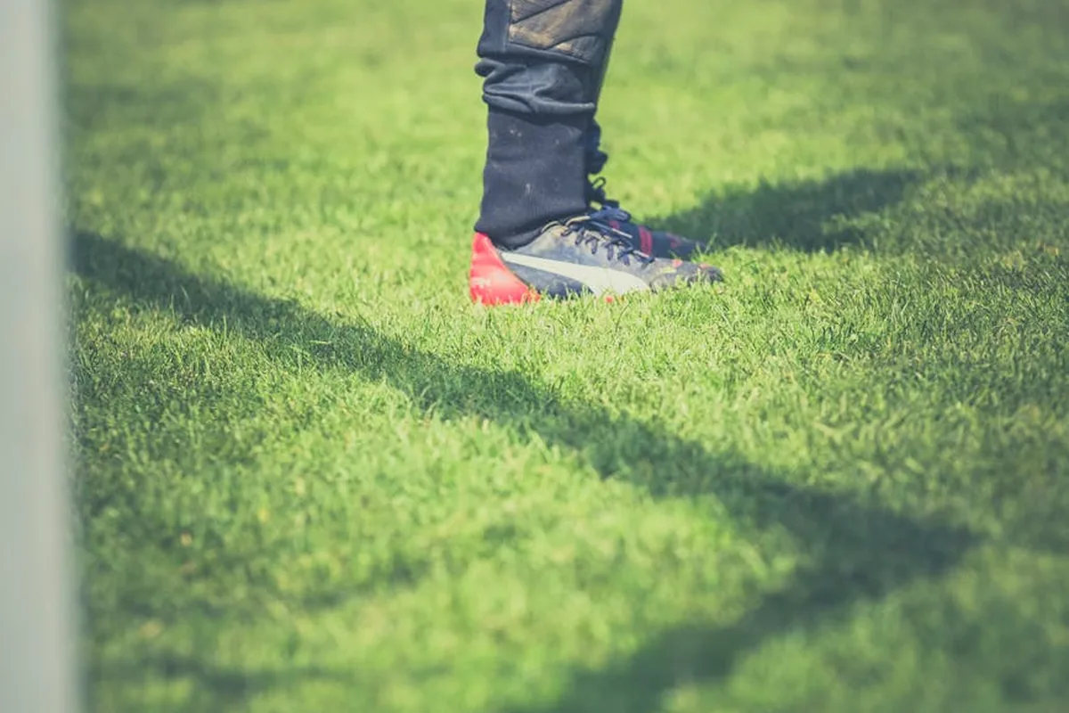 Managerial Impact On Promotion Success