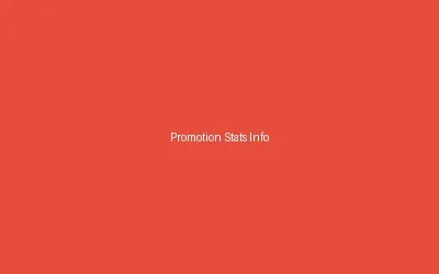 Promotion Stats Infographic