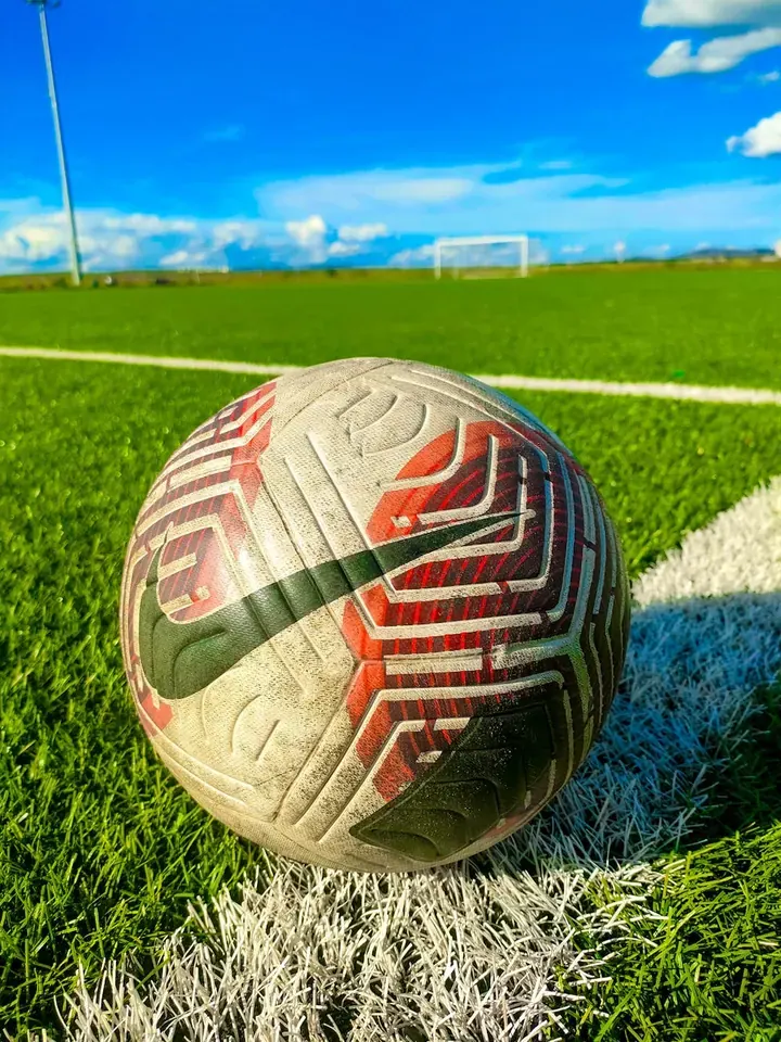 Anton Stach: Midfield Contributions and Profile