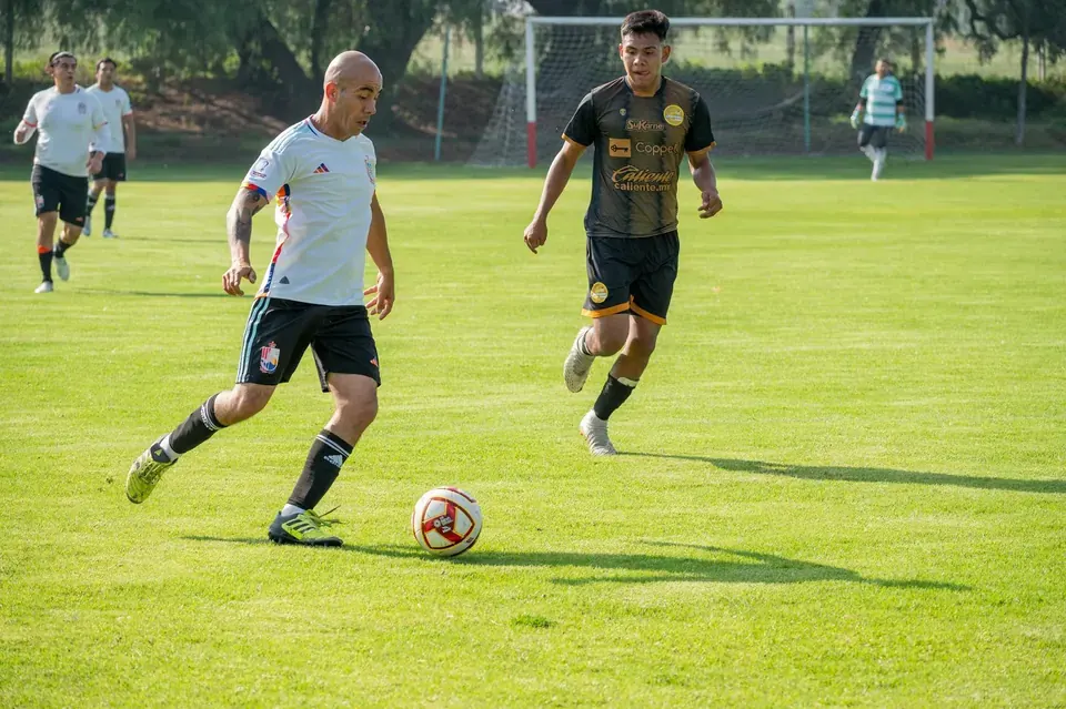 Crysencio Summerville: Winger Profile at Leeds United