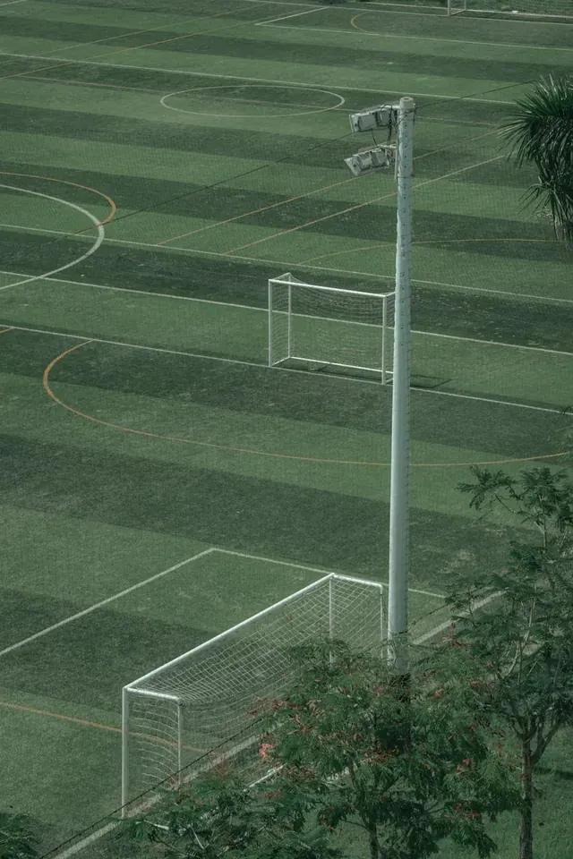 Junior Tanaka: Midfielder Analysis and Impact