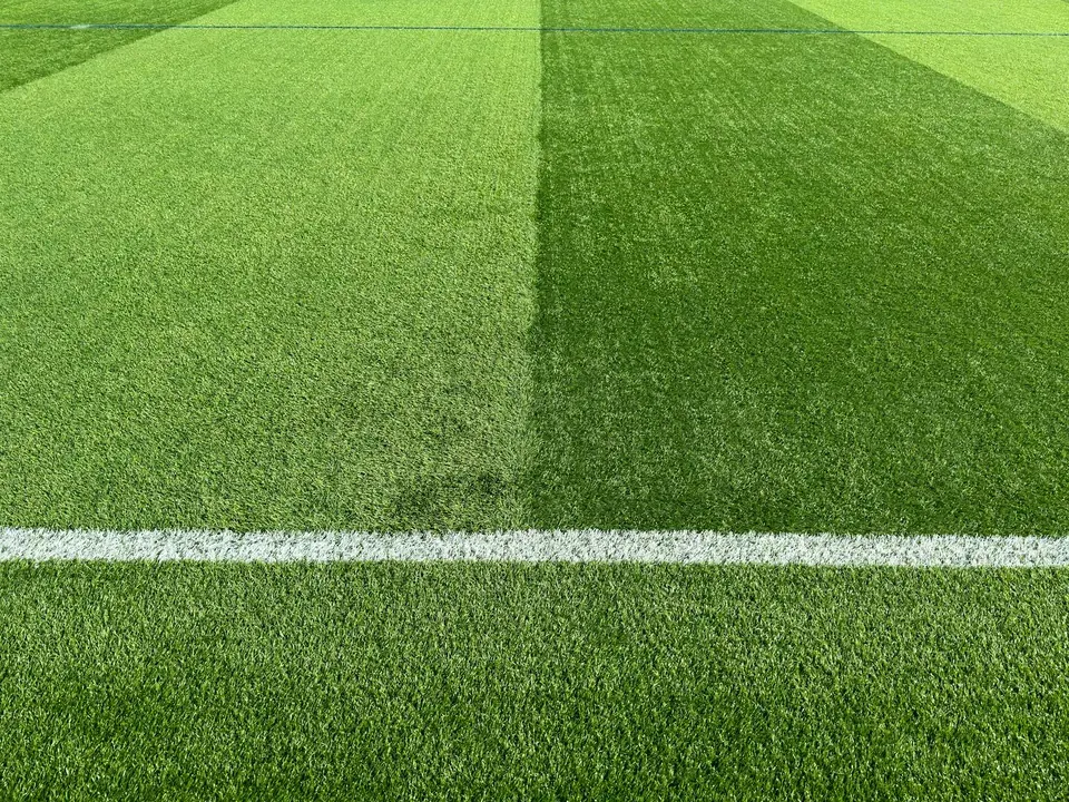 Player Profile and Positional Role